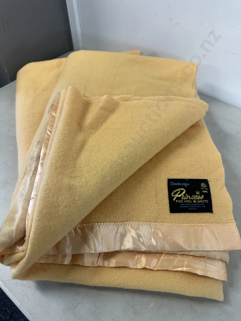 Pair Of Vintage Single Onehunga Princess Woollen Blankets Image 1++