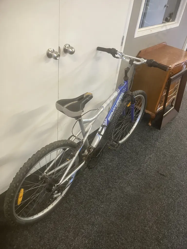 Southern Star Apogee 2.0 Blue & White Bike Image 1++
