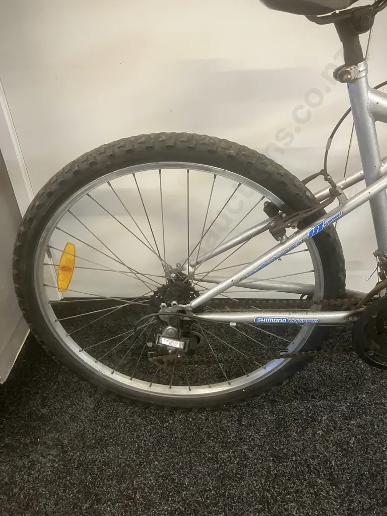 Southern Star Apogee 2.0 Blue & White Bike Image 1++