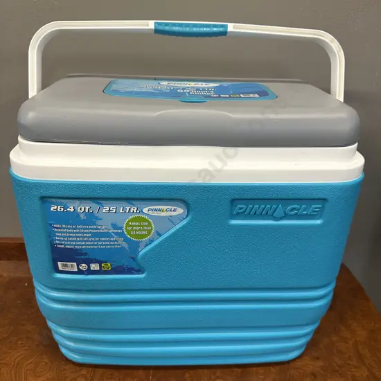 Pinnicle 25litre Chilly Bin