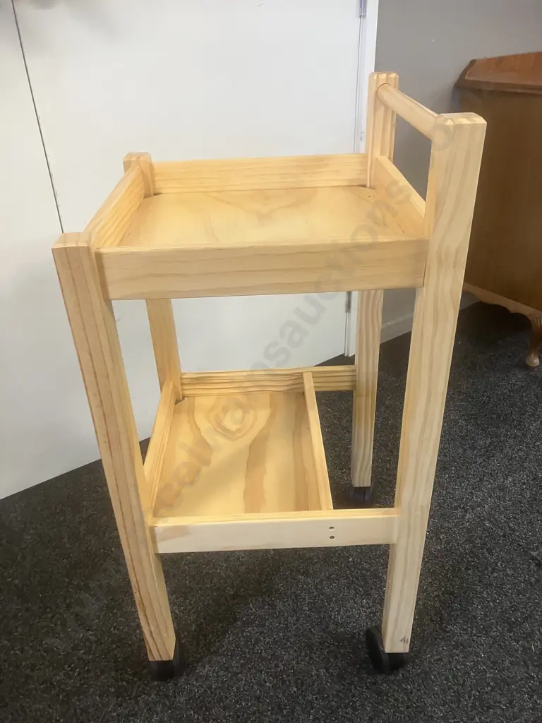 Wooden Rehabilitation Trolley Image 1++