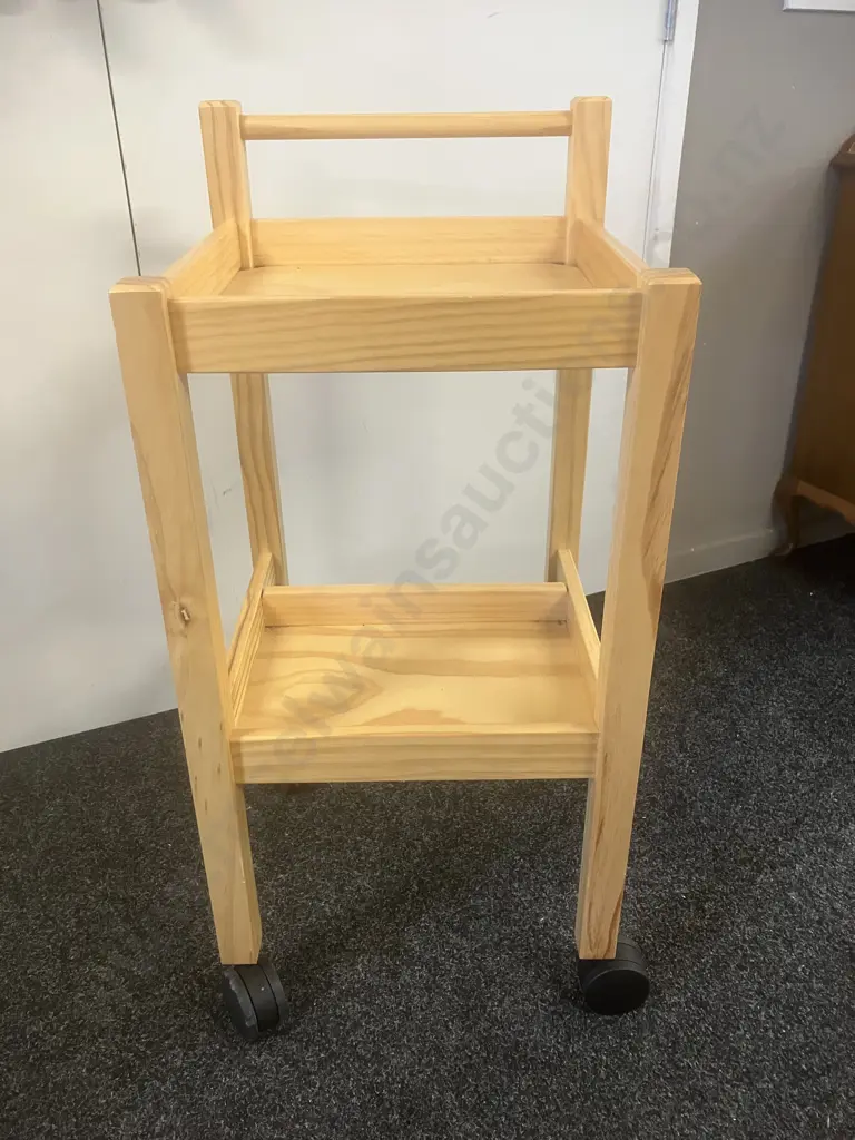 Wooden Rehabilitation Trolley Image 1++