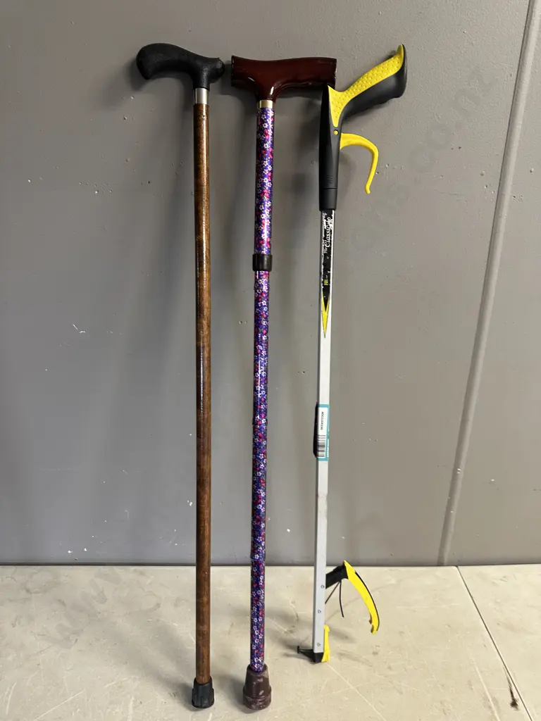 Walking Sticks & Classic Pro Reacher Image 1++