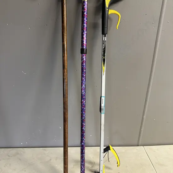 Walking Sticks & Classic Pro Reacher