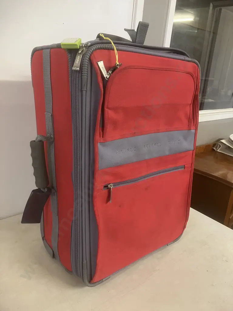 Ricardo Beverly Hills 60cm Travel Roller Bag Image 1++