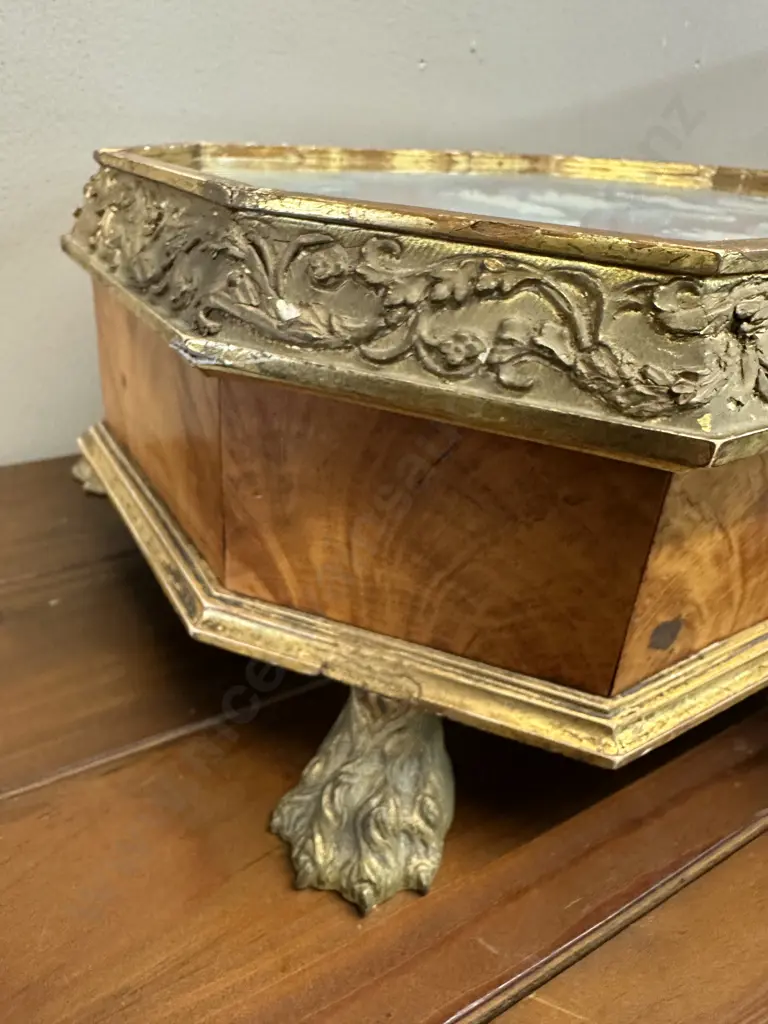 An Antique Velvet Lined Display Case, Ornate Gilt With Metal Claw Feet. 12 x Late 18th.Century Antique Wedgwood Plaques Image 1++