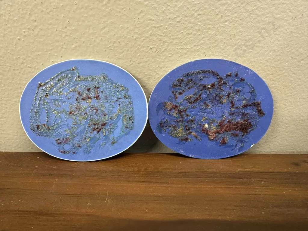 Pair of Wedgwood Oval Plaques, Blue Jasper Dip In Low White Relief  - Late 18th. Century. 6.5 x 8cm Image 1++