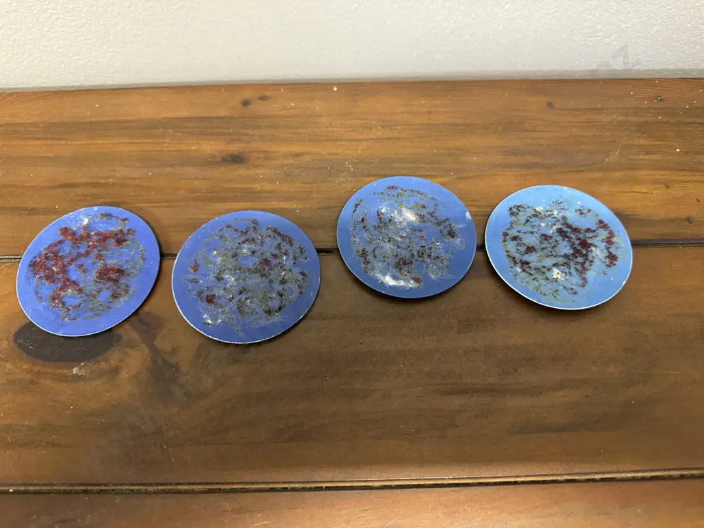 Wedgwood Round Plaques x 4, Blue Jasper Dip In Low White Relief  - Late 18th. Century. 6cm Image 1++