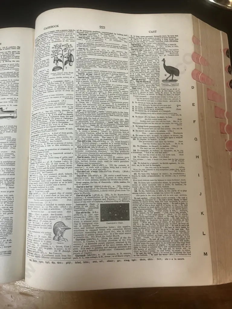 1908 Webster's International Dictionary Reference History Edition -  Large Book, Leather Bound. H13 W24 L31cm Image 1++