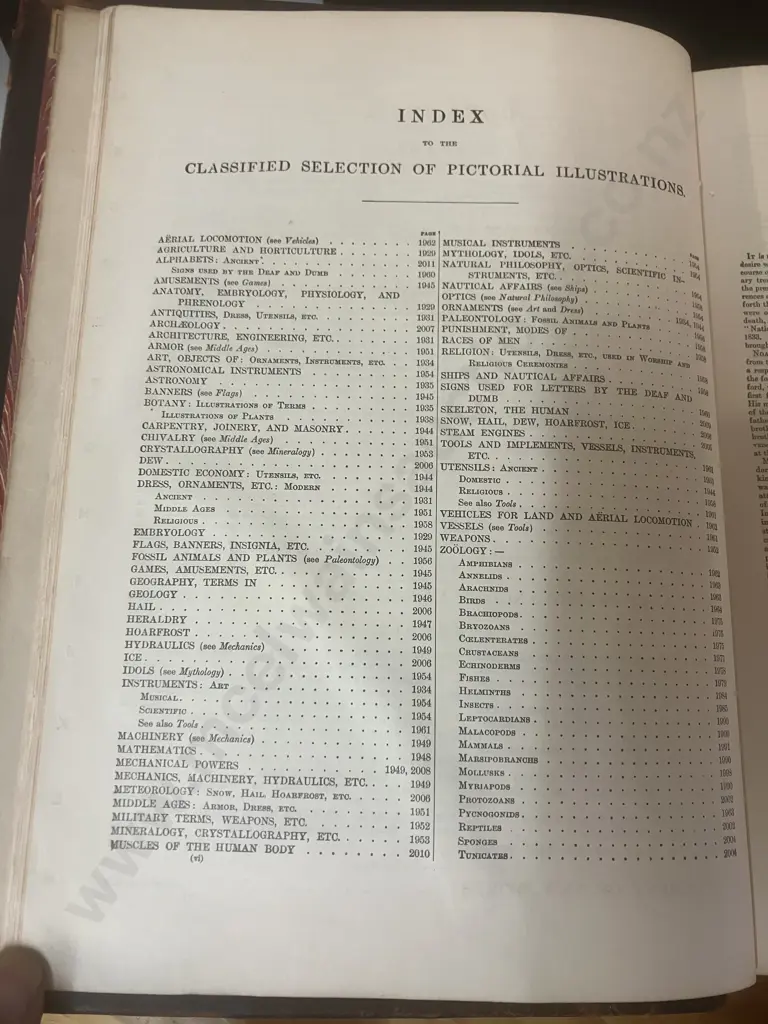 1908 Webster's International Dictionary Reference History Edition -  Large Book, Leather Bound. H13 W24 L31cm Image 1++