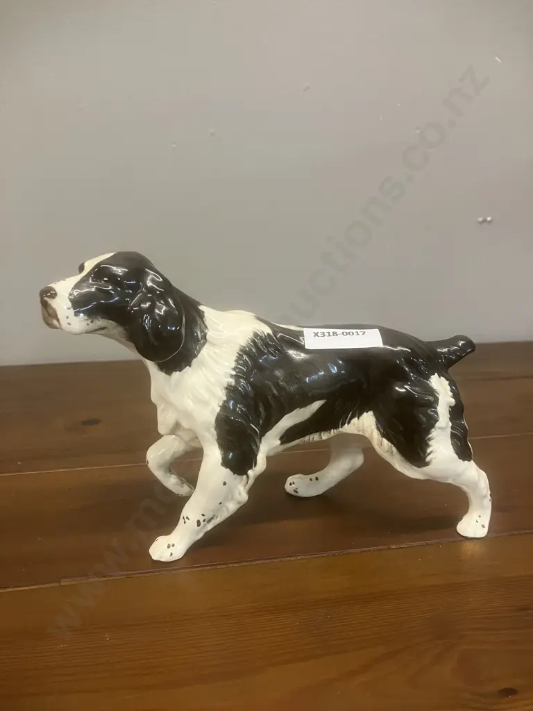 A Vintage Beswick Springer Spaniel Porcelain Figurine: Model #3135 - England H12.5cm Image 1++