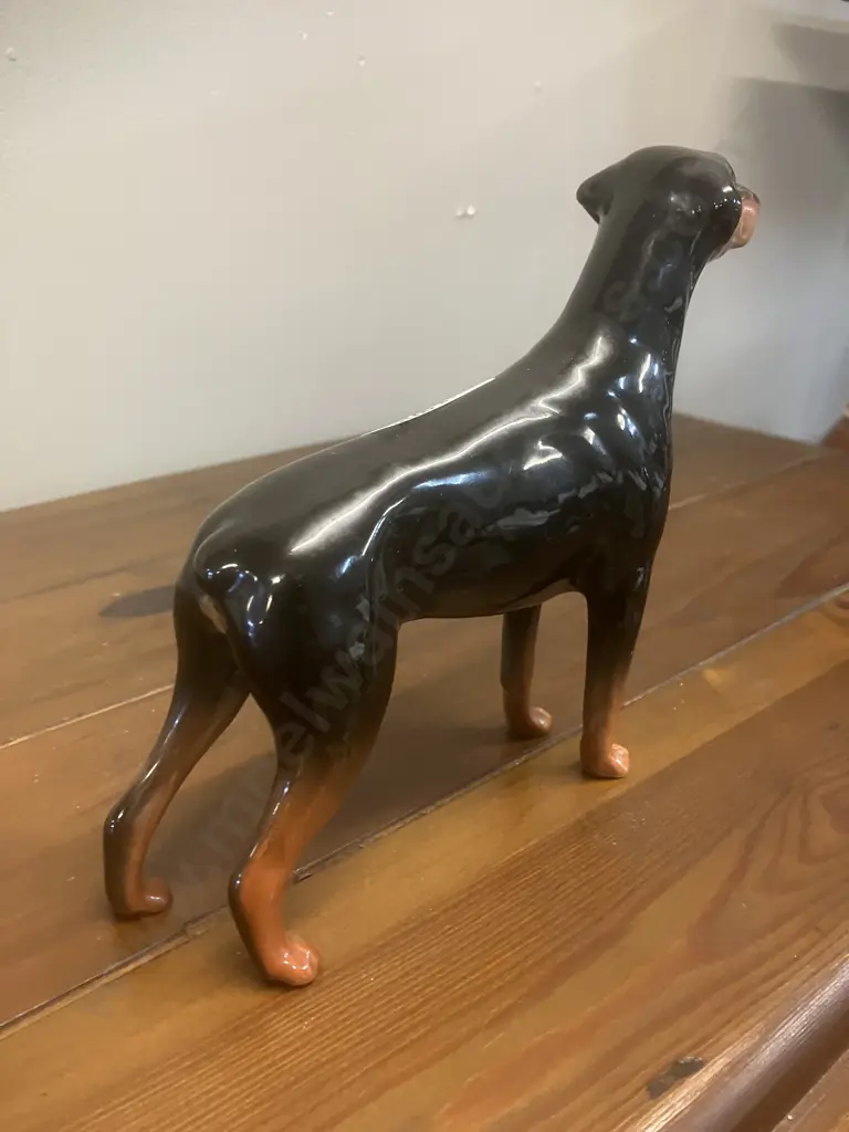 A Vintage Beswick Doberman Pinscher Porcelain Figurine: "Annastock Lance" Model #2299 - England. H14.5cm Image 1++