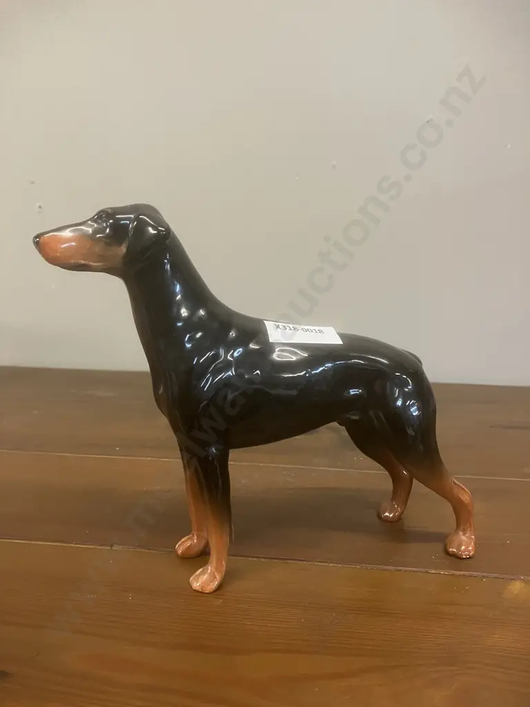 A Vintage Beswick Doberman Pinscher Porcelain Figurine: "Annastock Lance" Model #2299 - England. H14.5cm Image 1++