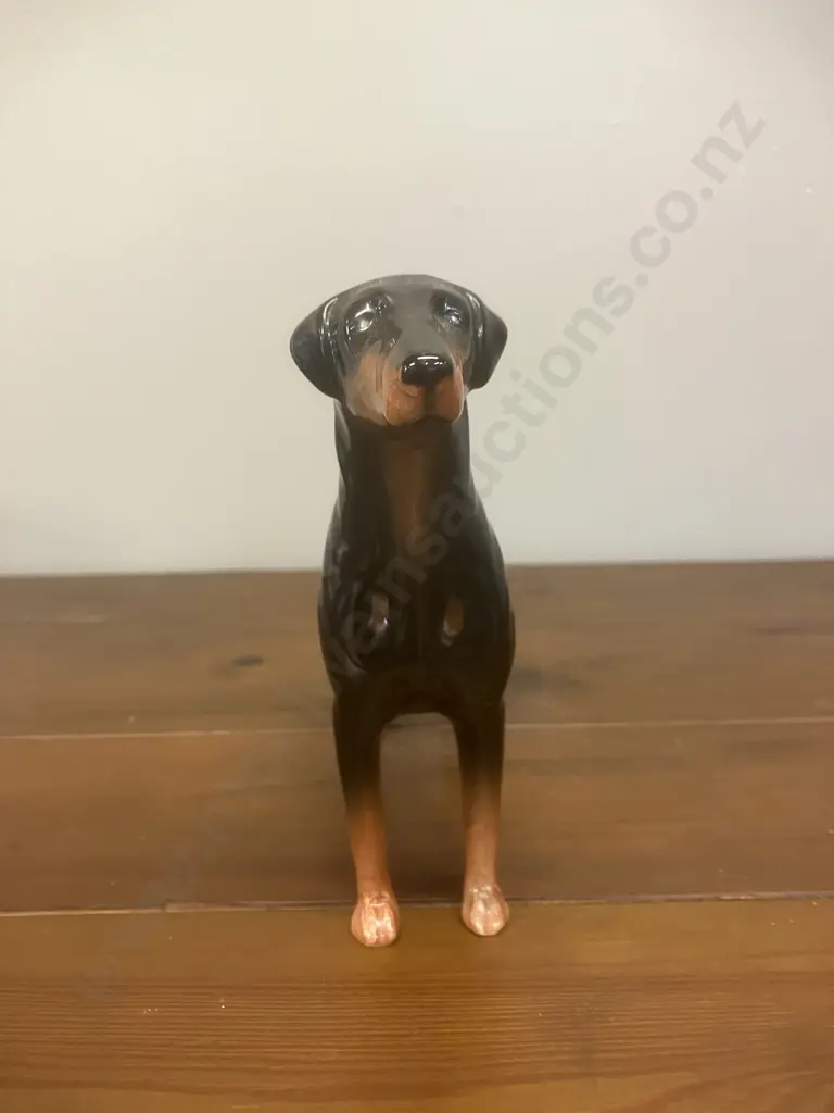 A Vintage Beswick Doberman Pinscher Porcelain Figurine: "Annastock Lance" Model #2299 - England. H14.5cm Image 1++