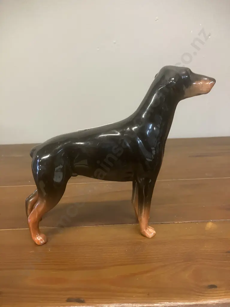 A Vintage Beswick Doberman Pinscher Porcelain Figurine: "Annastock Lance" Model #2299 - England. H14.5cm Image 1++