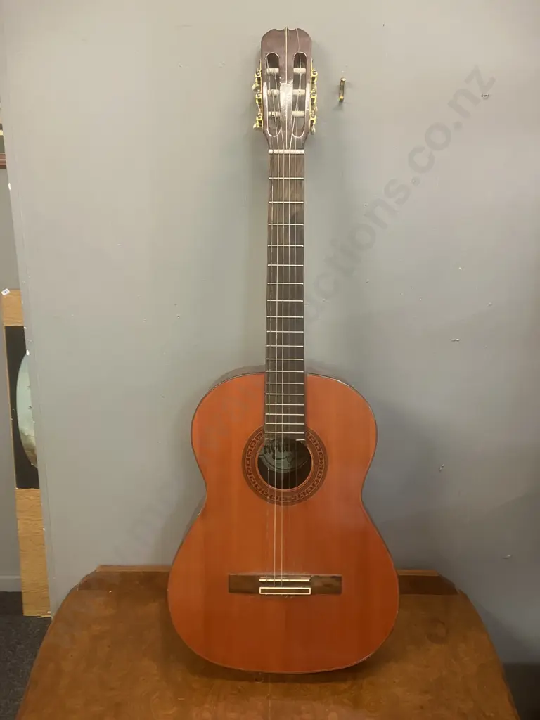Hyundai Acoustic Guitar SC-709 Image 1++