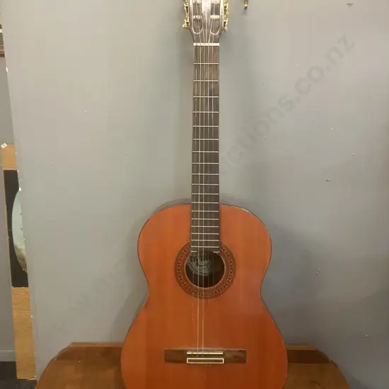 Hyundai Acoustic Guitar SC-709