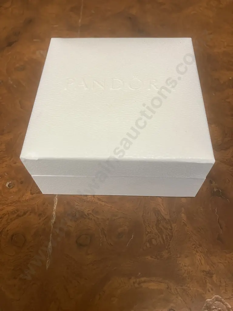 Authentic Pandora Bracelet Open Bangle Stamped S 925 with Pandora Box Image 1++