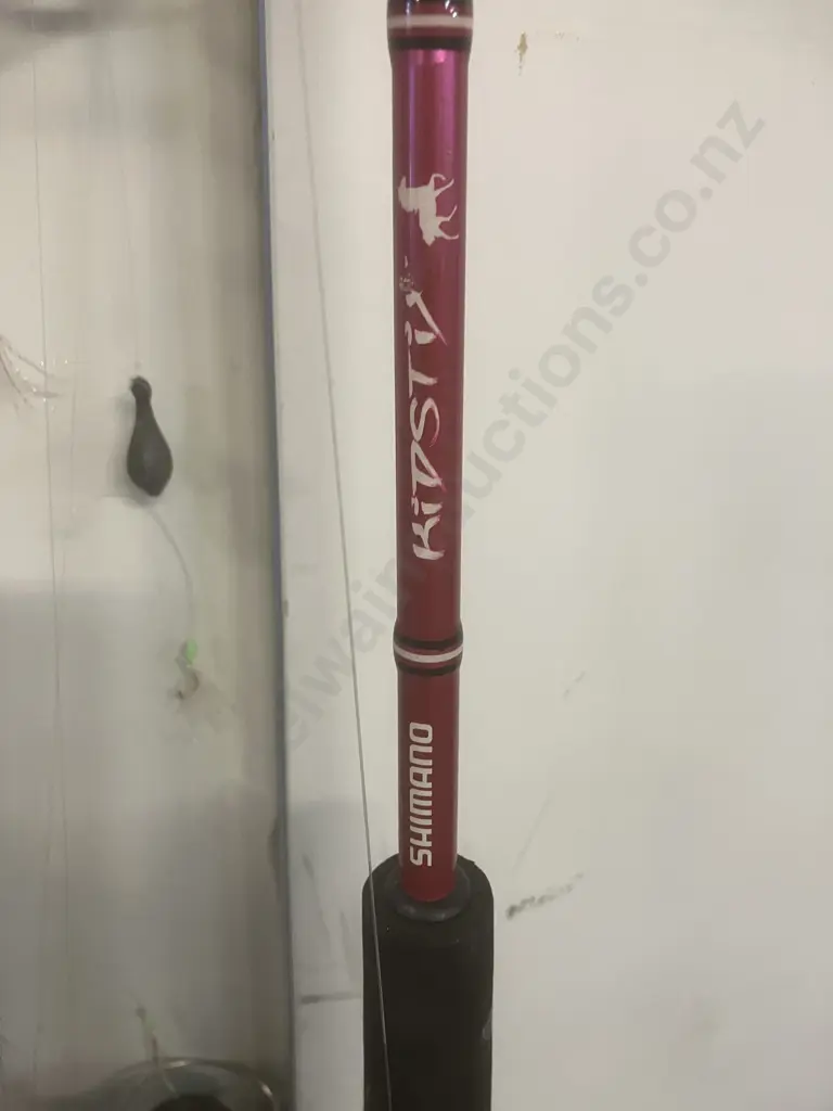 Shimano Kid Stix 551, Kid Stix 341 With R2000 Reel, Aluminum Handled Net Image 1++