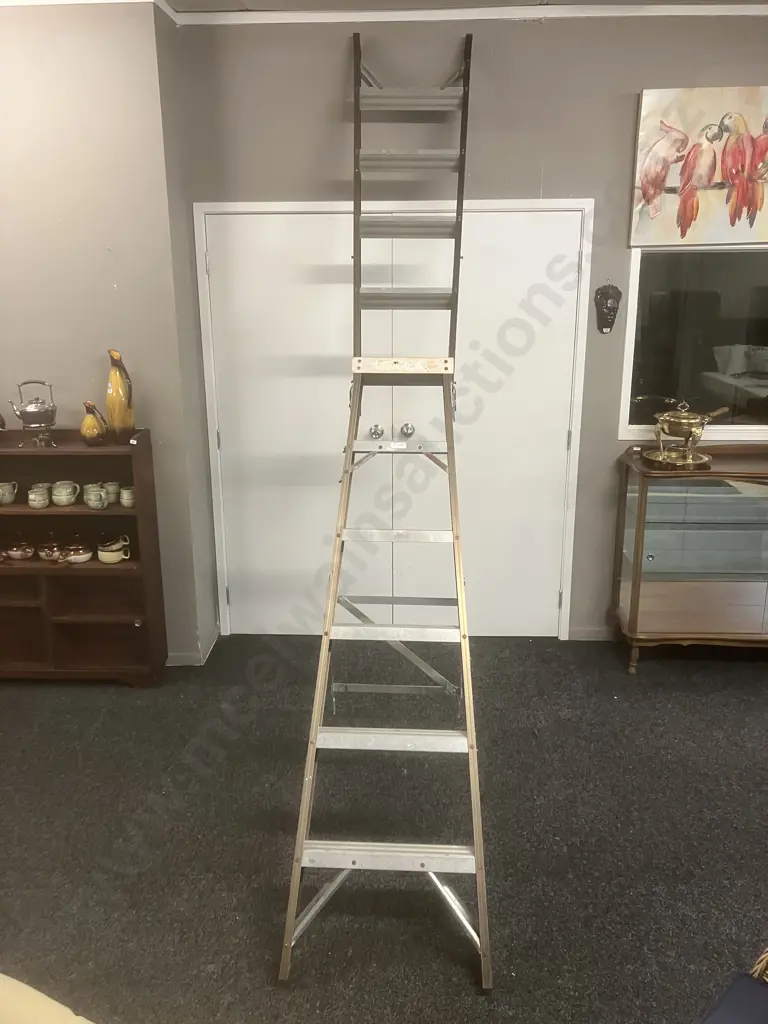 Gorilla Industrial Dual Purpose Ladder. 150Kg 1.8 - 3.3m Image 1++