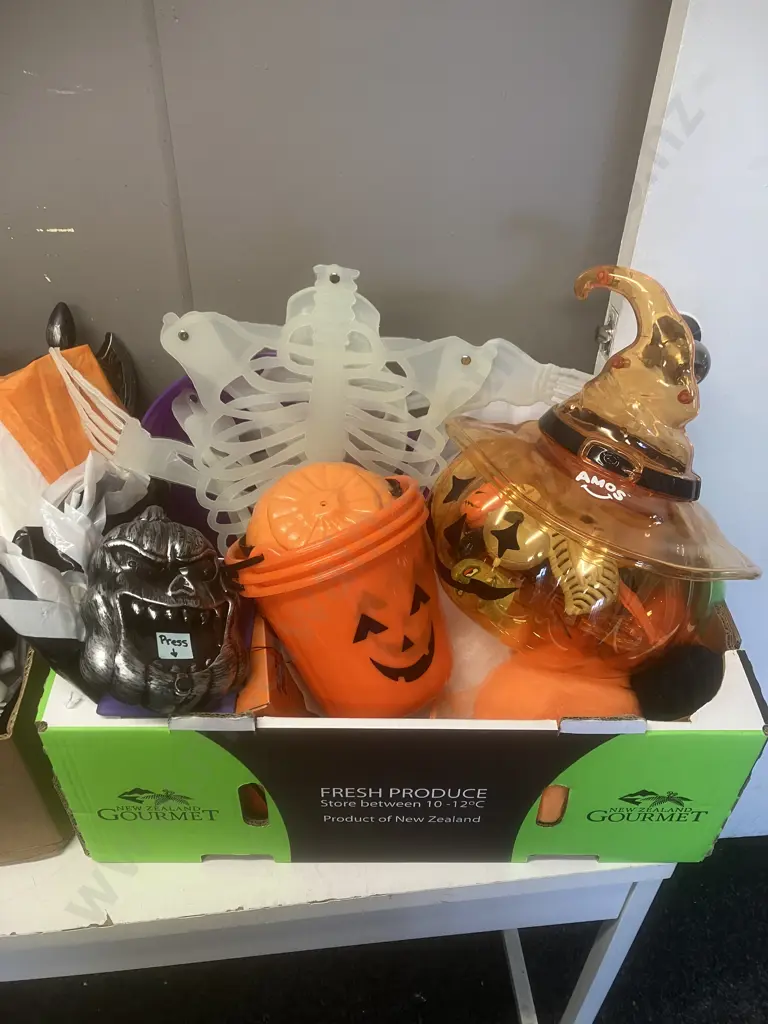 2 x Boxes Halloween Items Image 1++