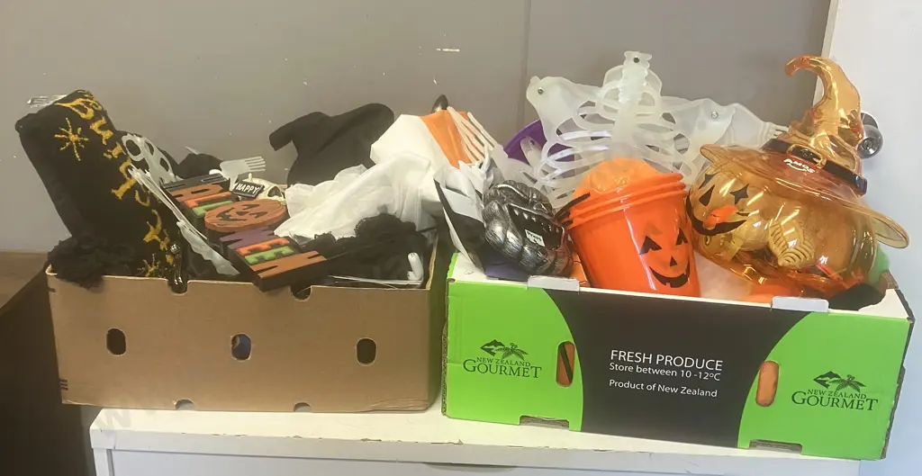 2 x Boxes Halloween Items Image 1++