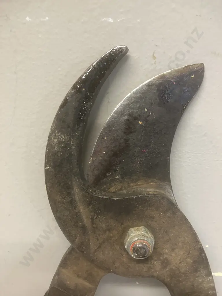 Silky ZUBAT 300 Professional Curved-Blade Saw With Scabbard (300mm) & Sandvik Pradines Pruners (44cm Handles) Image 1++