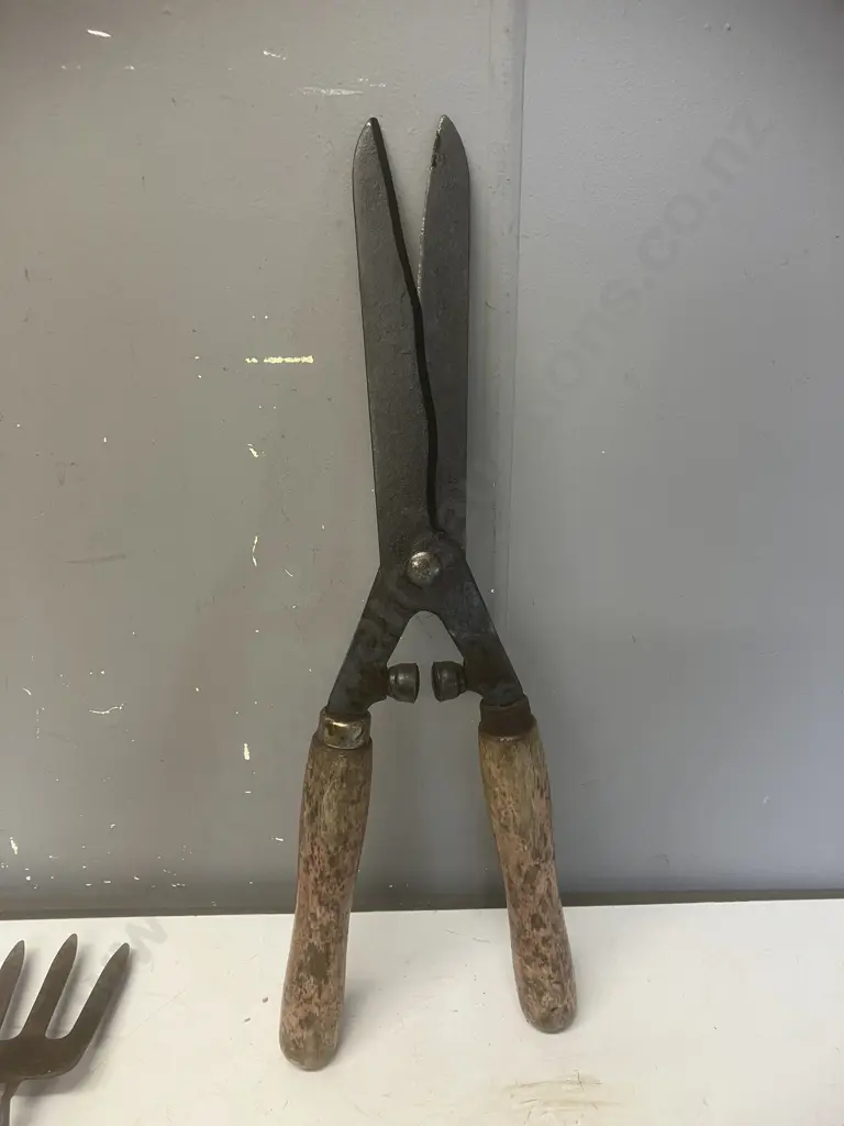 WOLF-Garten Garden Tools - Trowel, Shears, RR4000 Secateurs, Weeding / Planting Knife & Fork Image 1++
