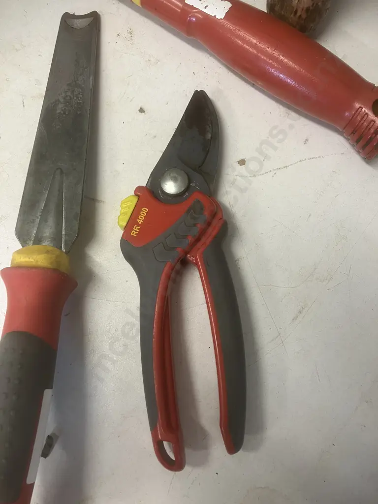 WOLF-Garten Garden Tools - Trowel, Shears, RR4000 Secateurs, Weeding / Planting Knife & Fork Image 1++