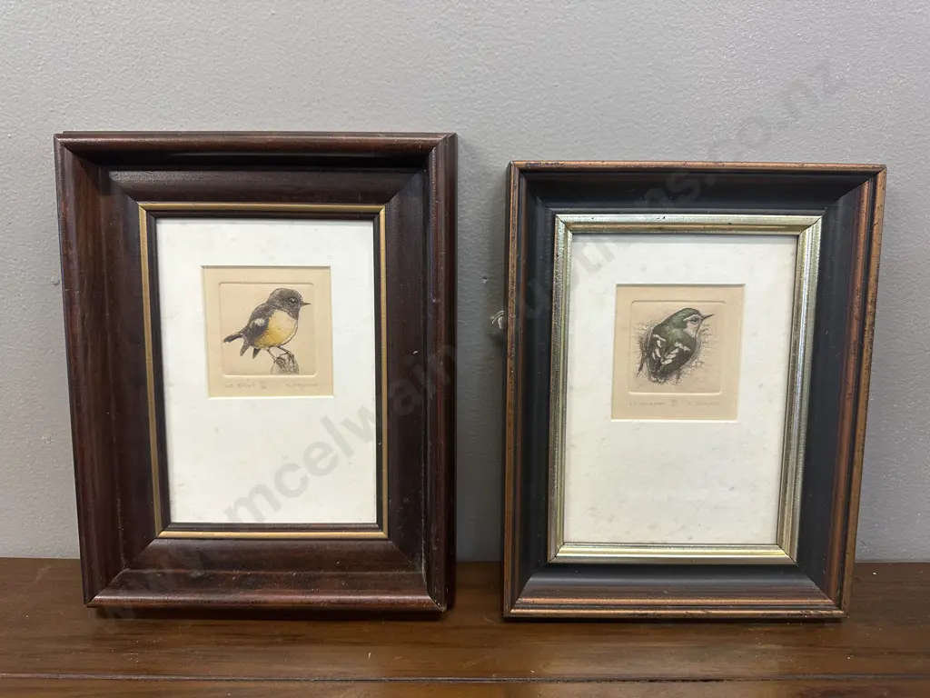 Framed Hand Coloured Etchings NZ Rifleman & Tomtit 49/80 By R.M Jackson '83 Image 1++