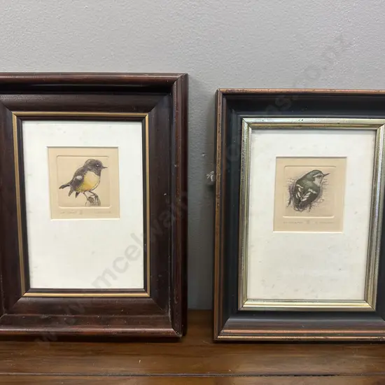 Framed Hand Coloured Etchings NZ Rifleman & Tomtit 49/80 By R.M Jackson '83