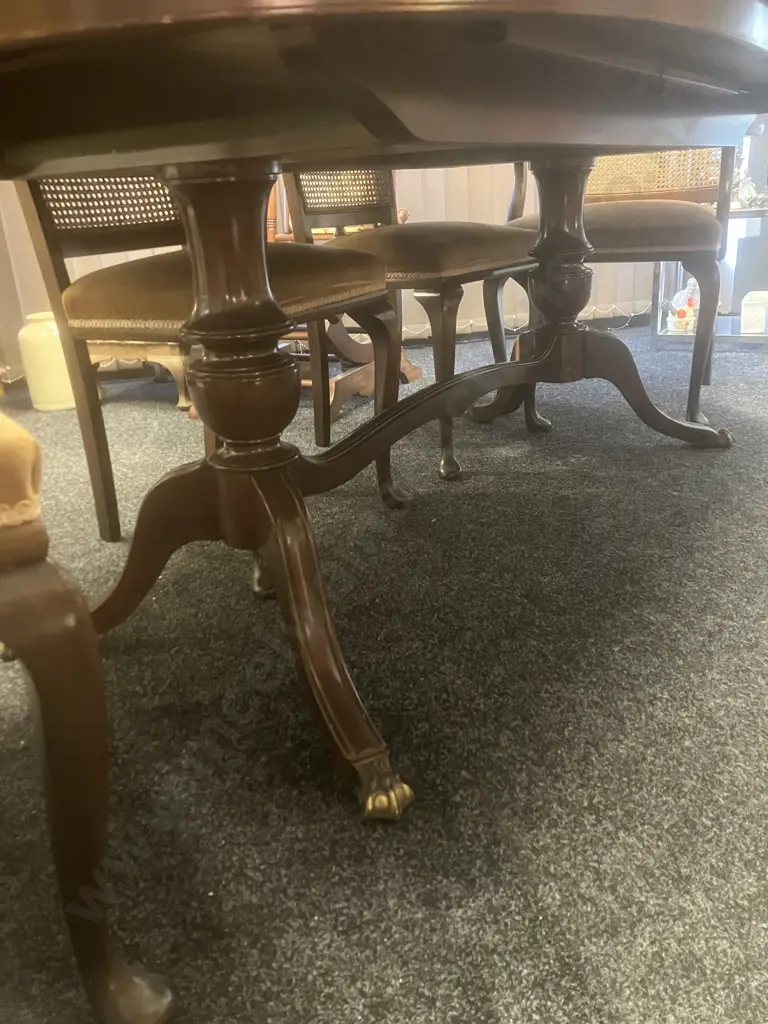 Mahogany Oval Extn Dining Table, Brass Claw Feet With 6 Cane Back Chairs Incl 2 x Carvers, Gold Draylon Seats Image 1++