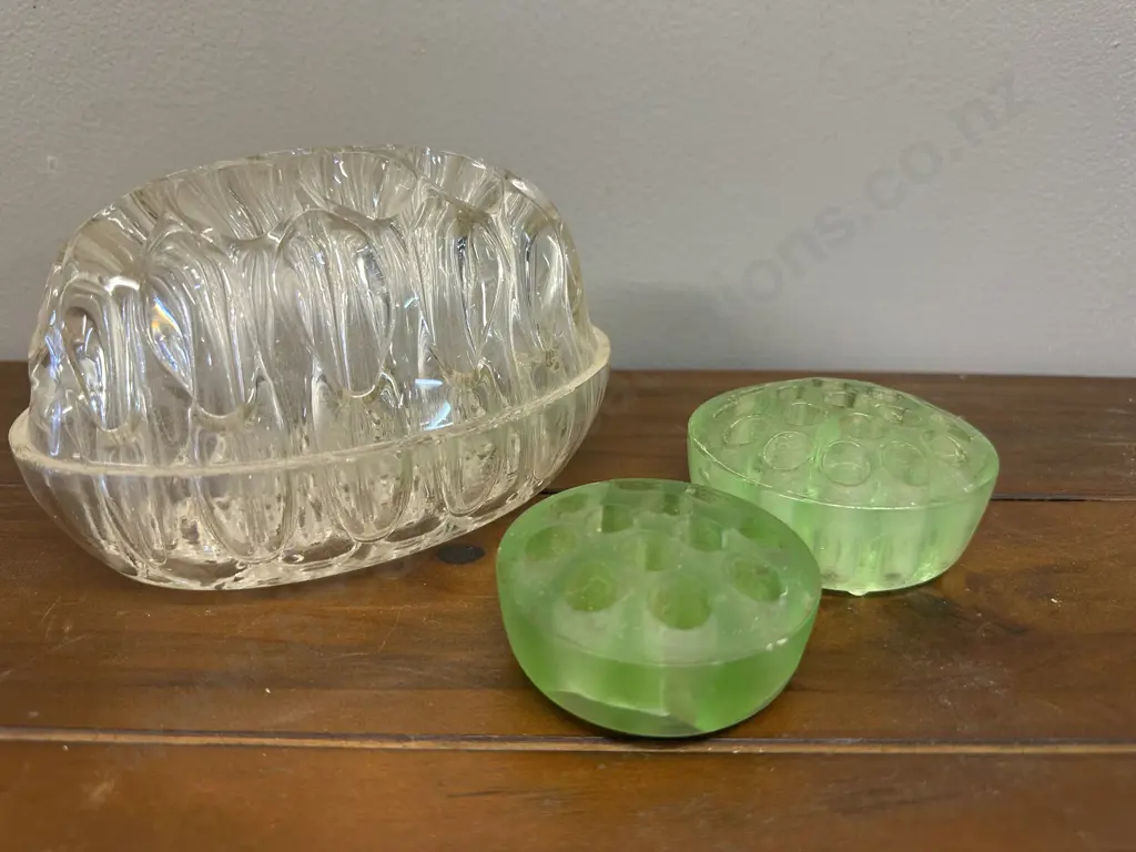 Selection Of Depression Flower Glass Frogs Image 1++
