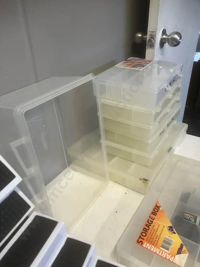 Pair of 3 Tier Shelf Organisers, Plastic Sorter Boxes, Small Amount of Washers, Bulbs Etc Image 1++