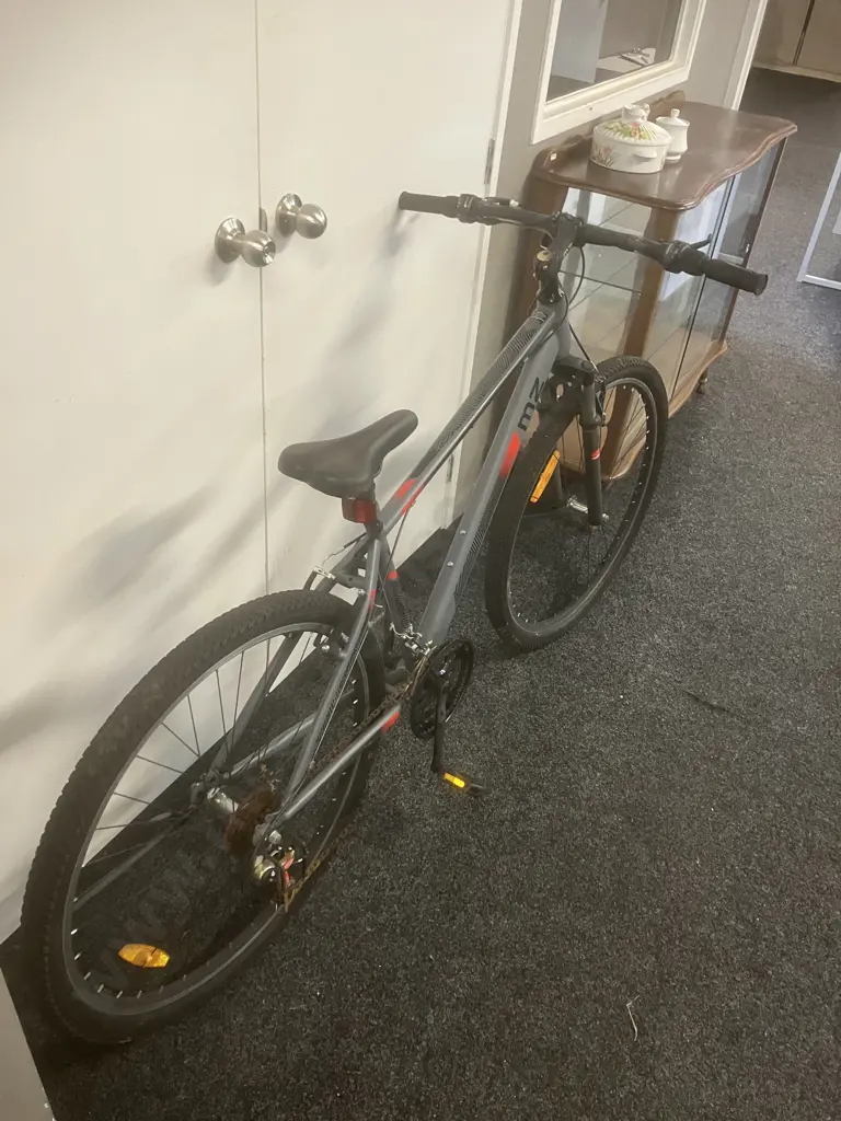 MZ Bike Coloured Black, Red & Grey Image 1++