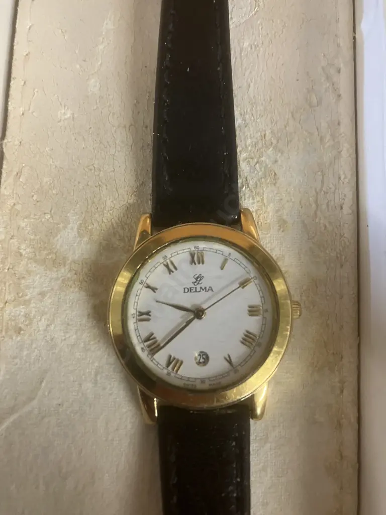 Vintage Delma Swiss Quartz Womens Watch Sapphire Crystal, Date, Leather Strap. 667.153.1, With Original Box Etc - 2003 Image 1++