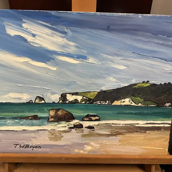 Signed Artwork By TW Bryon Painting On Canvas Whangamata Coastal Landscape 36x46cm.