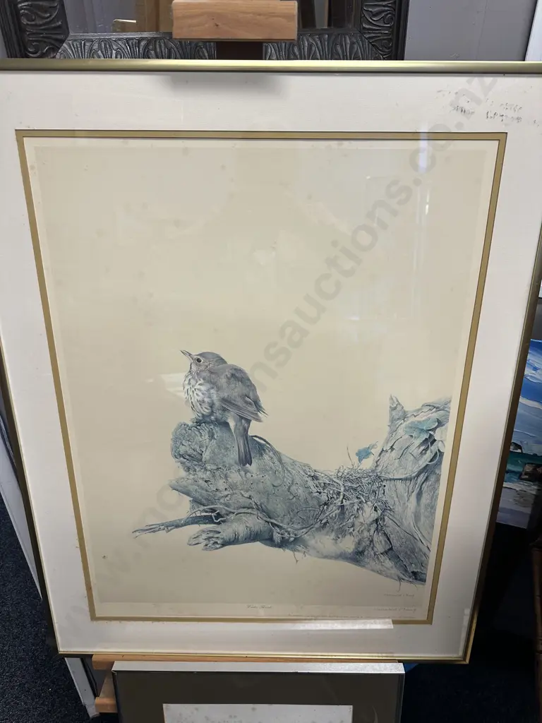 Raymond Ching Limited Edition Signed Print 'Winter Thrush' 86x68cm. Image 1++