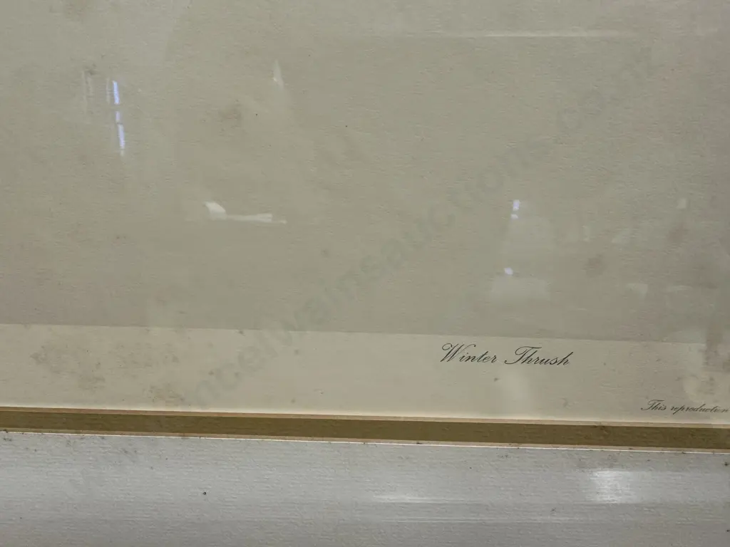 Raymond Ching Limited Edition Signed Print 'Winter Thrush' 86x68cm. Image 1++