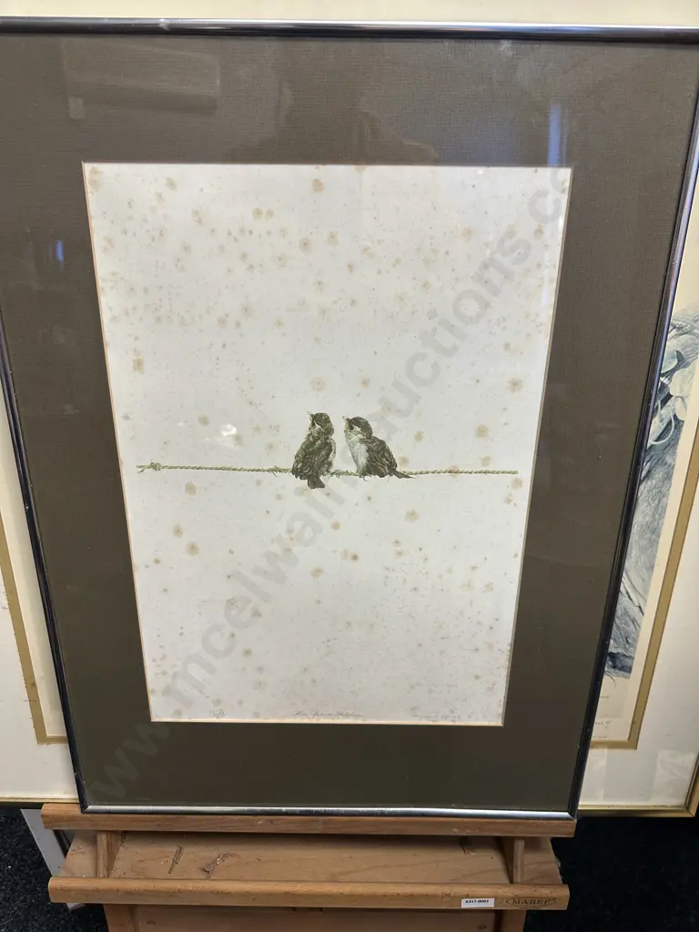 Raymond Ching Limited Edition Signed Print 551/850 Titled 'House Sparrow Fledging' 60x45cm. Image 1++