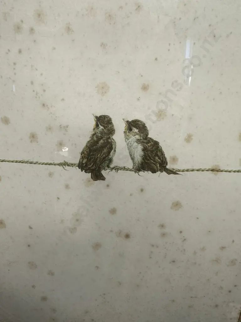 Raymond Ching Limited Edition Signed Print 551/850 Titled 'House Sparrow Fledging' 60x45cm. Image 1++