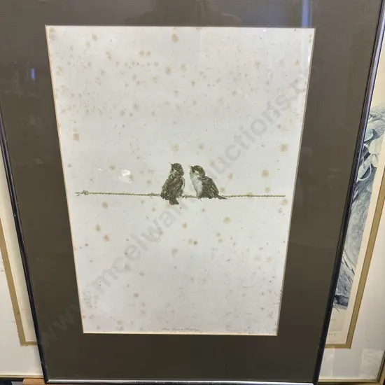 Raymond Ching Limited Edition Signed Print 551/850 Titled 'House Sparrow Fledging' 60x45cm.