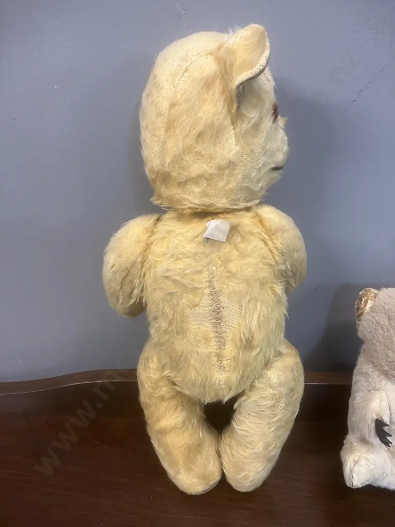 Vintage 1950s Pedigree (New Zealand) Mohair Teddy Bear With a Vintage Australian Koala Bear (Wallaby Fur) Image 1++
