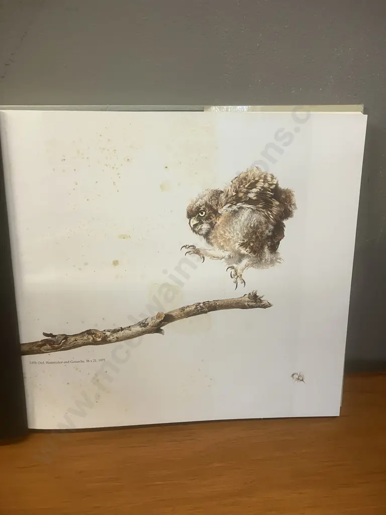 Ray Harris-Ching "Journey of an Artist Masters of Wild" 1990 Large Format Cloth Bound Hardcover With Dustjacket Image 1++