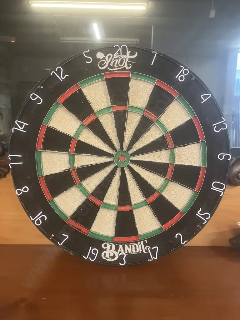 Shot Bandit Bristle Dartboard Image 1++