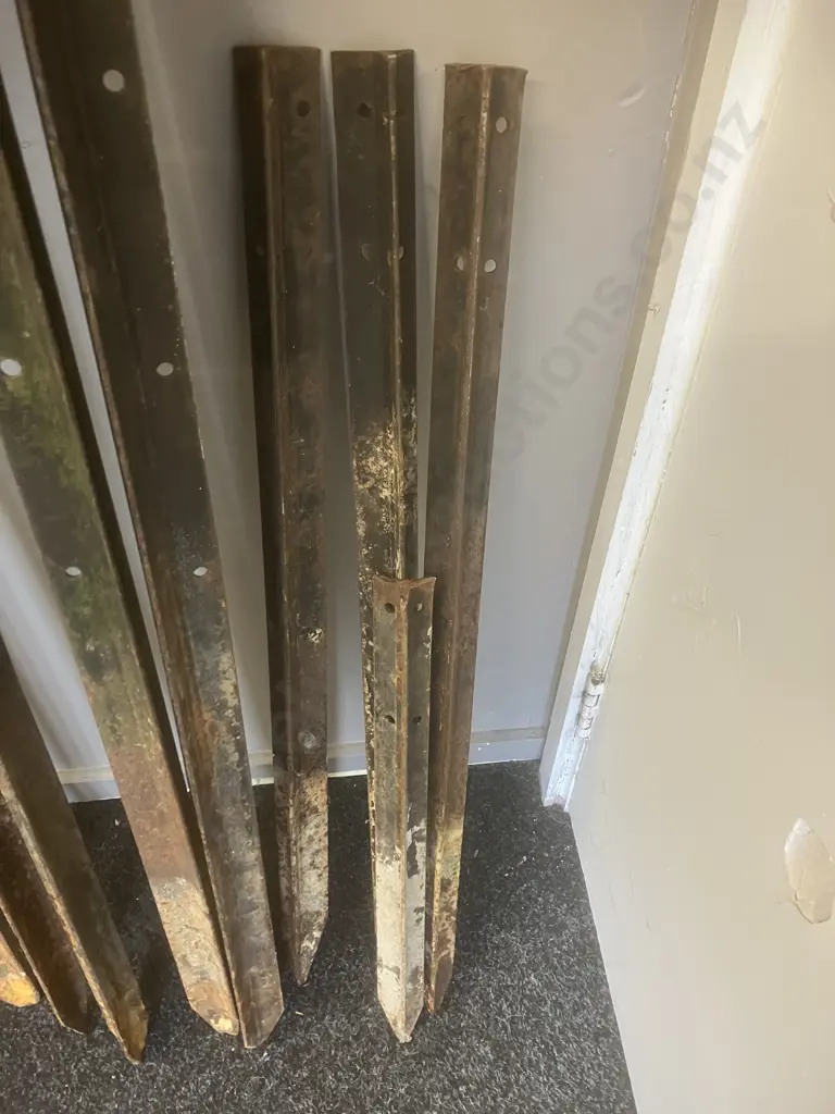 9 x Waratahs & 2 Steel Posts (1.5 to 1.8m) With 4 Smaller Ones Image 1++