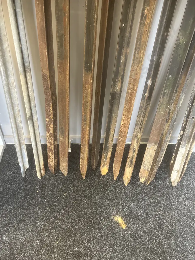 9 x Waratahs & 2 Steel Posts (1.5 to 1.8m) With 4 Smaller Ones Image 1++