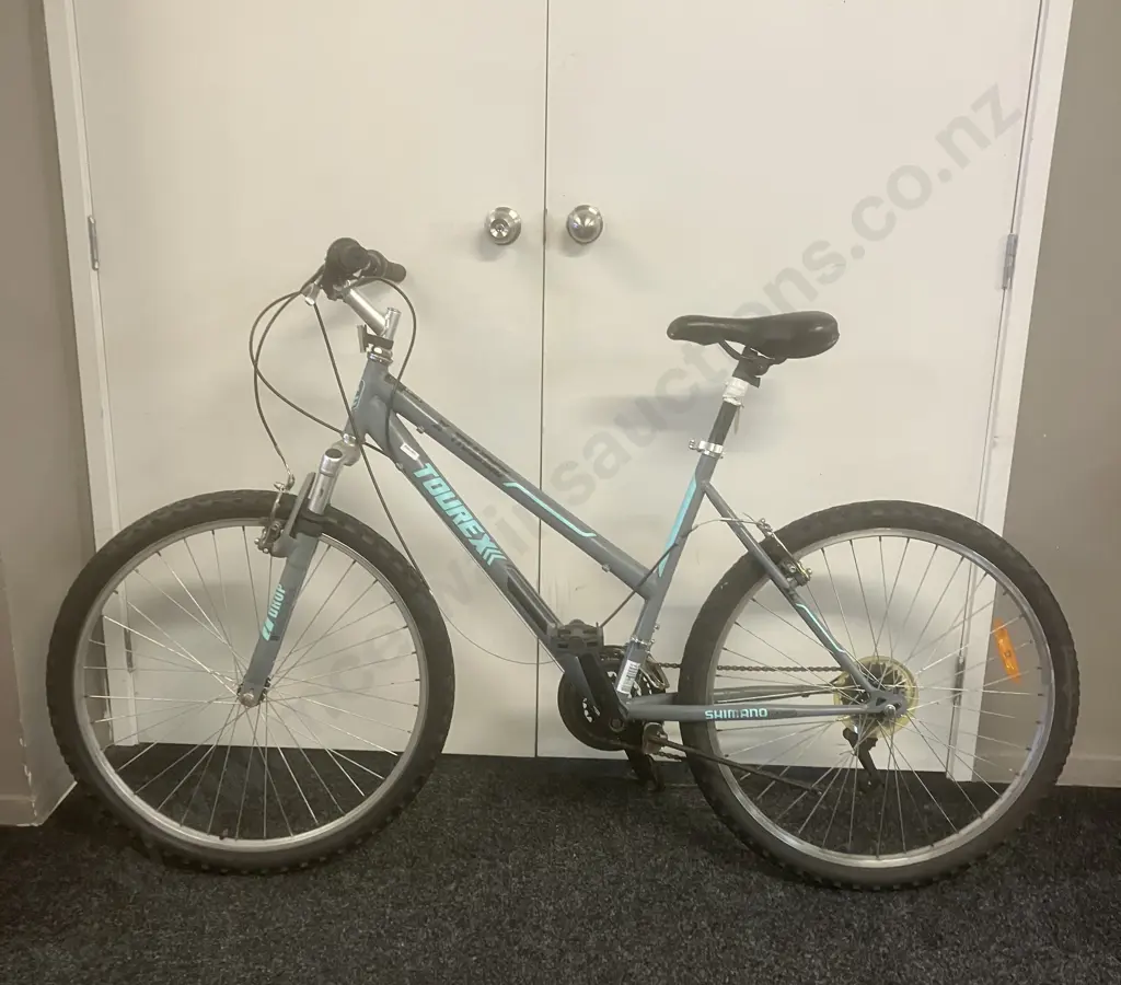 TOUREX-X-Train66  Grey & Blue Bike Image 1++