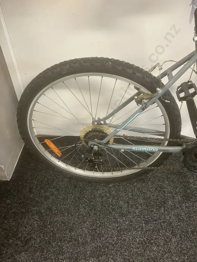 TOUREX-X-Train66  Grey & Blue Bike Image 1++