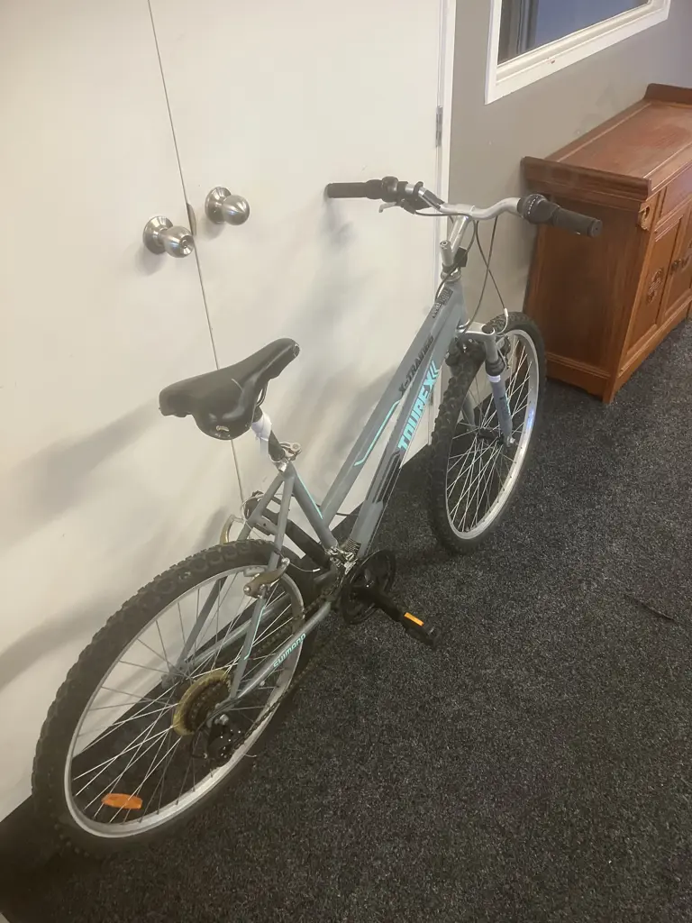 TOUREX-X-Train66  Grey & Blue Bike Image 1++